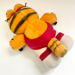 Garfield Aerobics Gym Bunny