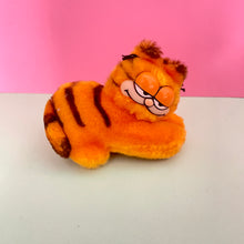 Garfield Clinger in 18th Birthday Glass