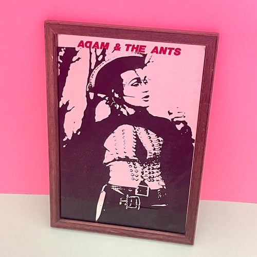 Adam And The Ants Picture Mirror