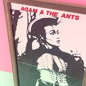 Adam And The Ants Picture Mirror