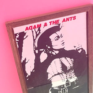 Adam And The Ants Picture Mirror